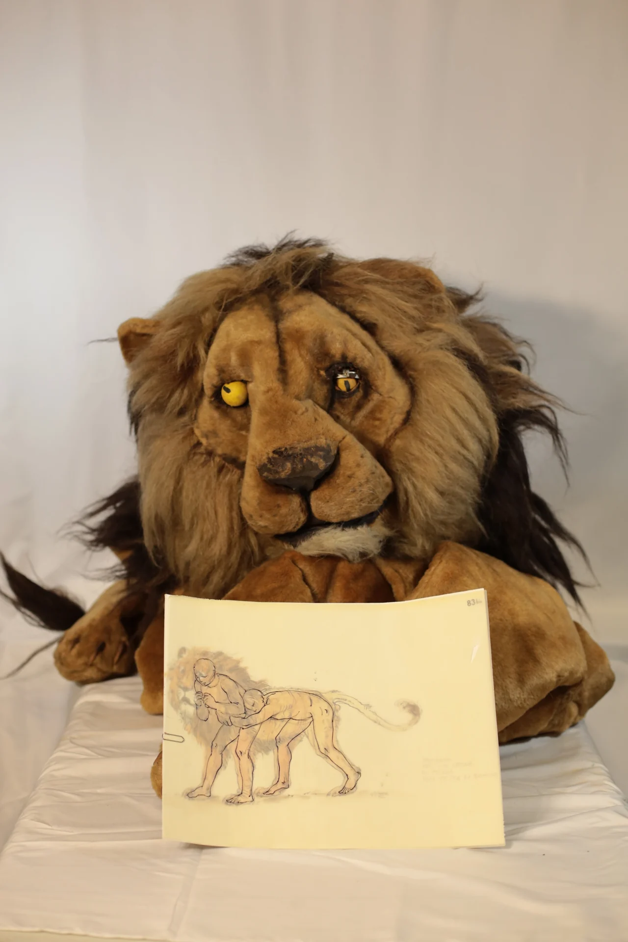 Lion Costume